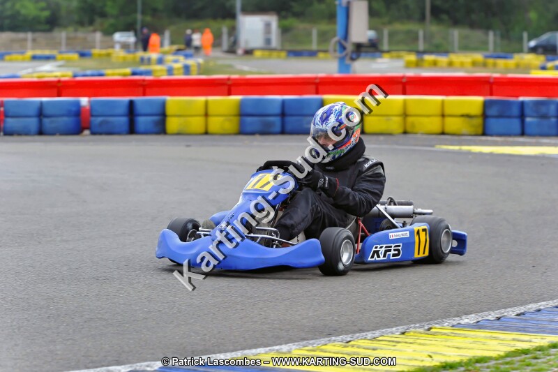 DSC_ (1251).jpg